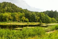 Kleiner See vor dem Affenberg bei Burg Landskron